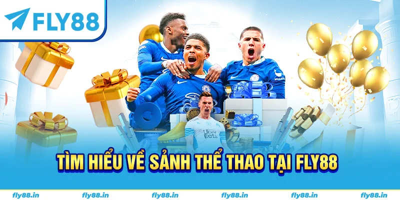Tìm hiểu về sảnh thể thao tại FLY88 